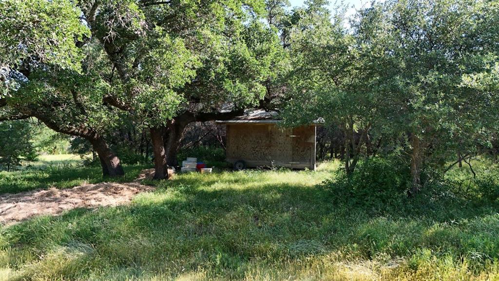 2801 Wind Point Court Tolar, TX 76476 - Photo 16 of 25 a backyard of a house with lots of green space