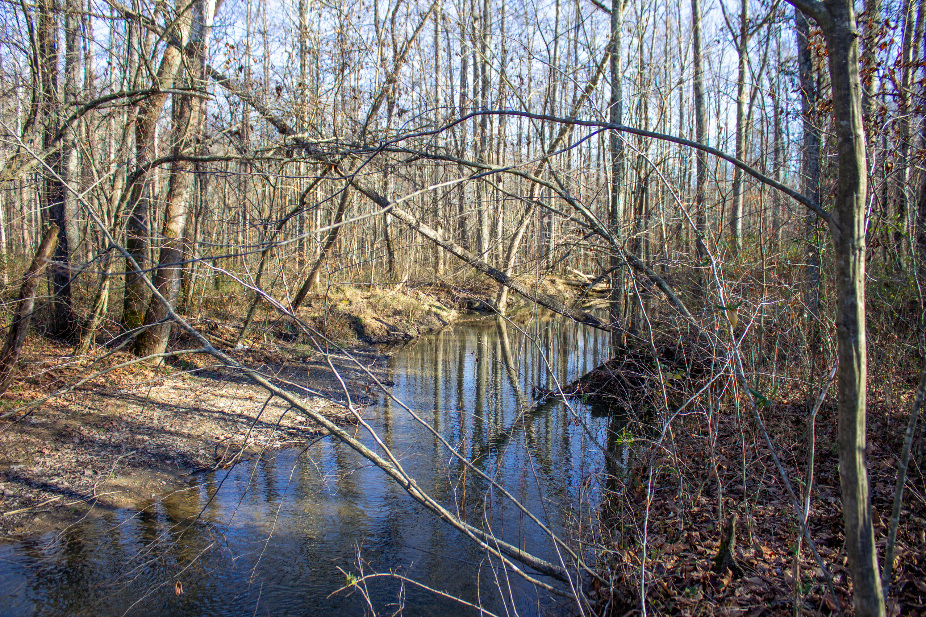 498 Bee Lick Road Brodhead, KY 40409 - Photo 18 of 22 Photo Dec 22, 2 57 18 PM