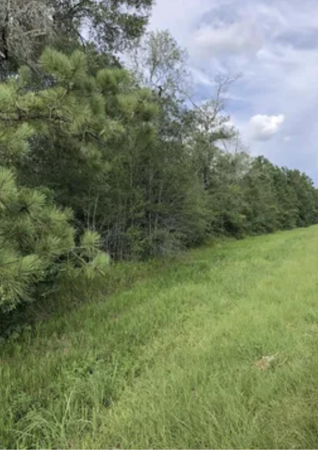 3135 Fm 2246 Road Buna, TX 77612 - Photo 2 of 3