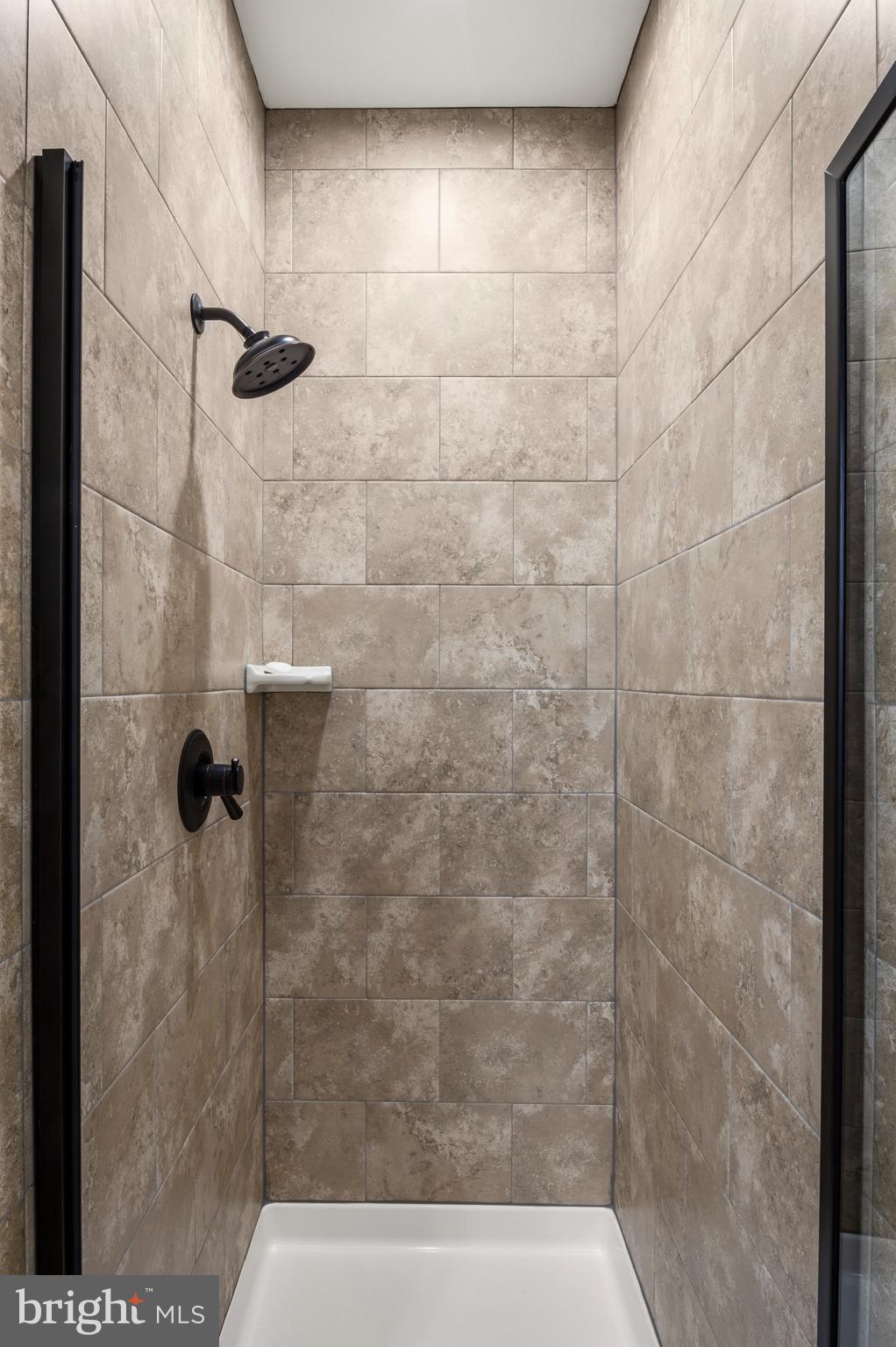 1002 Skiff Cove Road Edgewater, MD 21037 - Photo 28 of 47 Bathroom 2 Shower