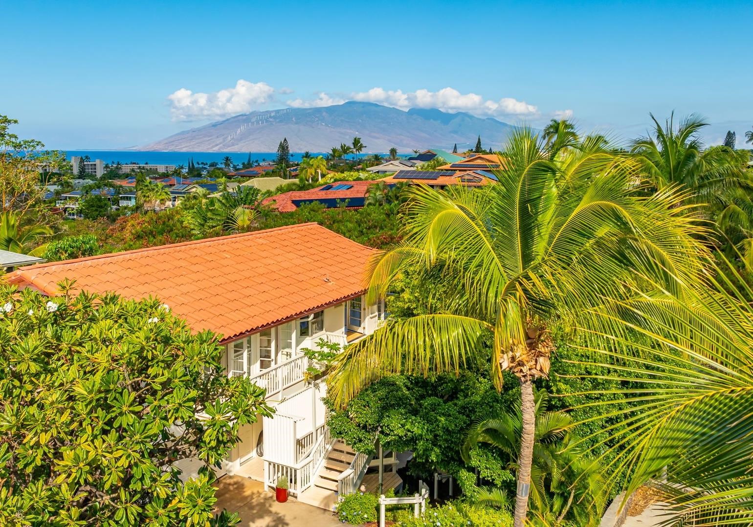 a view of a swimming pool with a yard