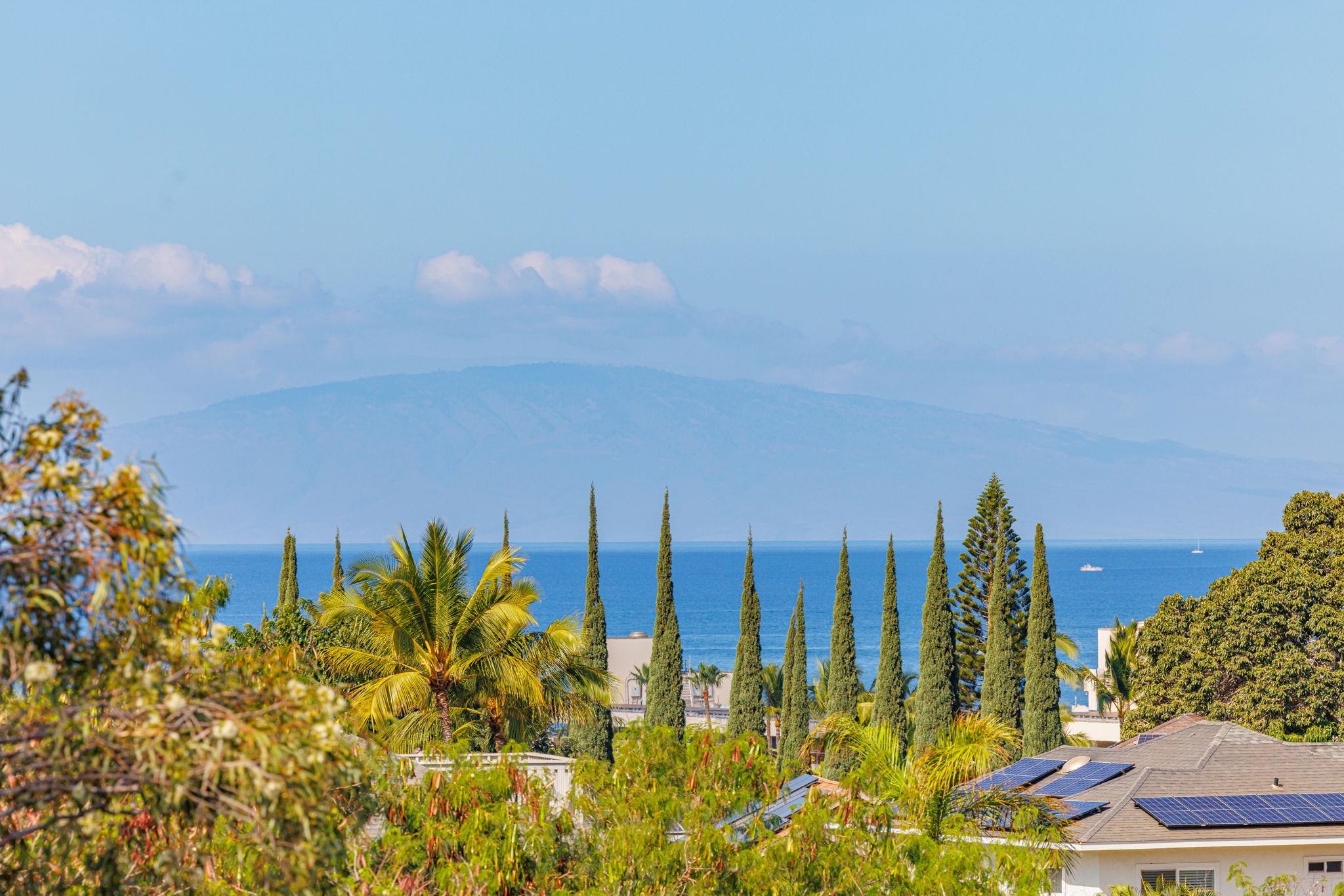 235 Keonekai Road Kihei, HI 96753 - Photo 21 of 50 a view of a garden