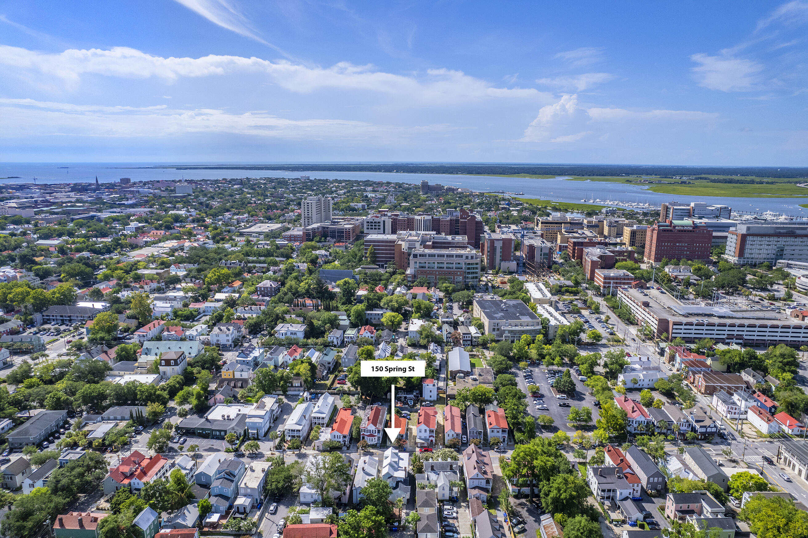 150 Spring Street Charleston, SC 29403 - Photo 107 of 130 Zyndicate_23