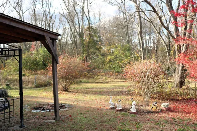 a view of backyard of the house