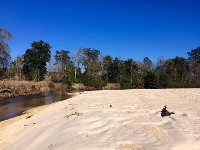 20932 Earl Phillips Road Little River, AL 36550 - Photo 16 of 17