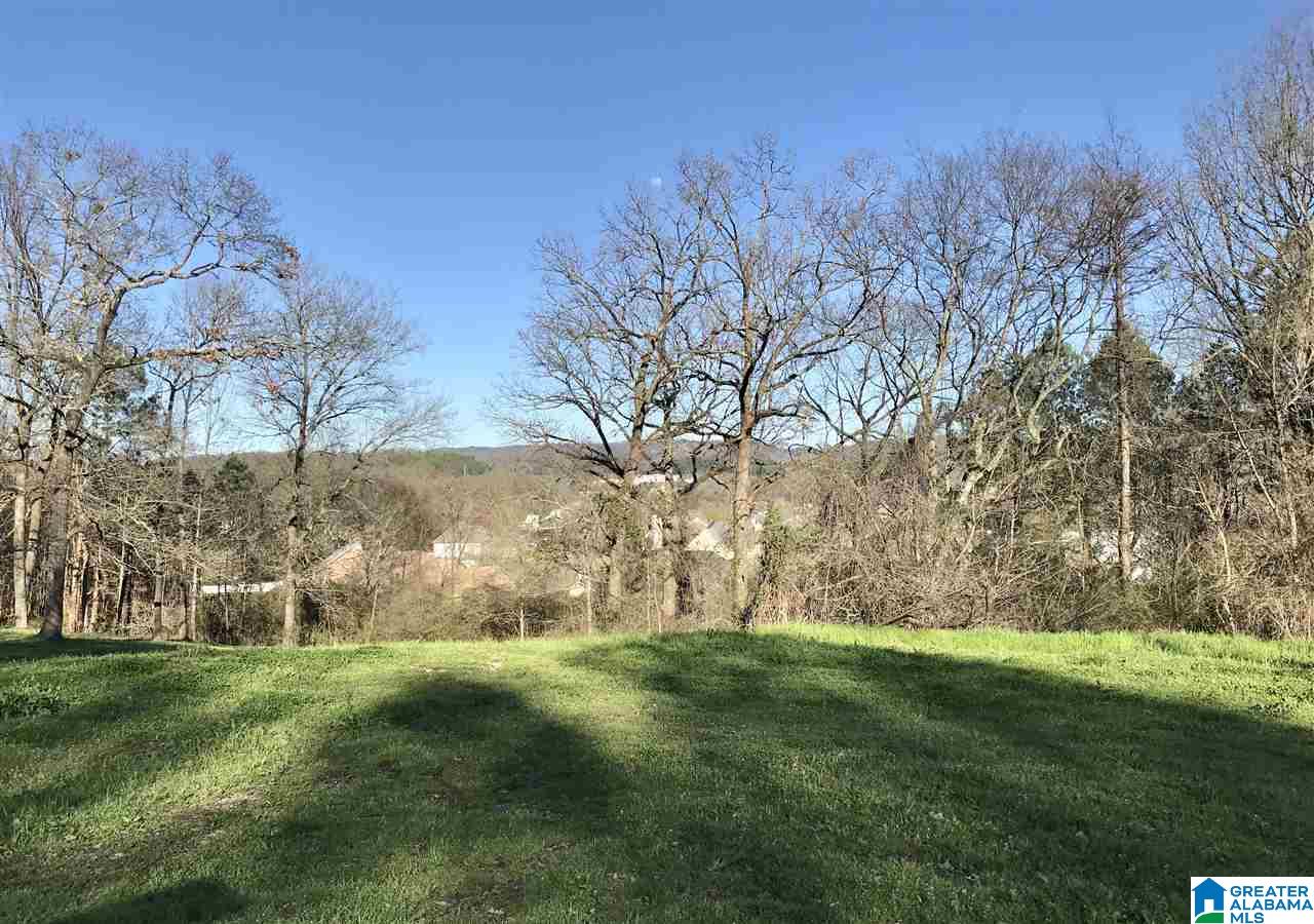 King Valley Circle, Unit 9 Pelham, AL 35124 - Photo 1 of 6