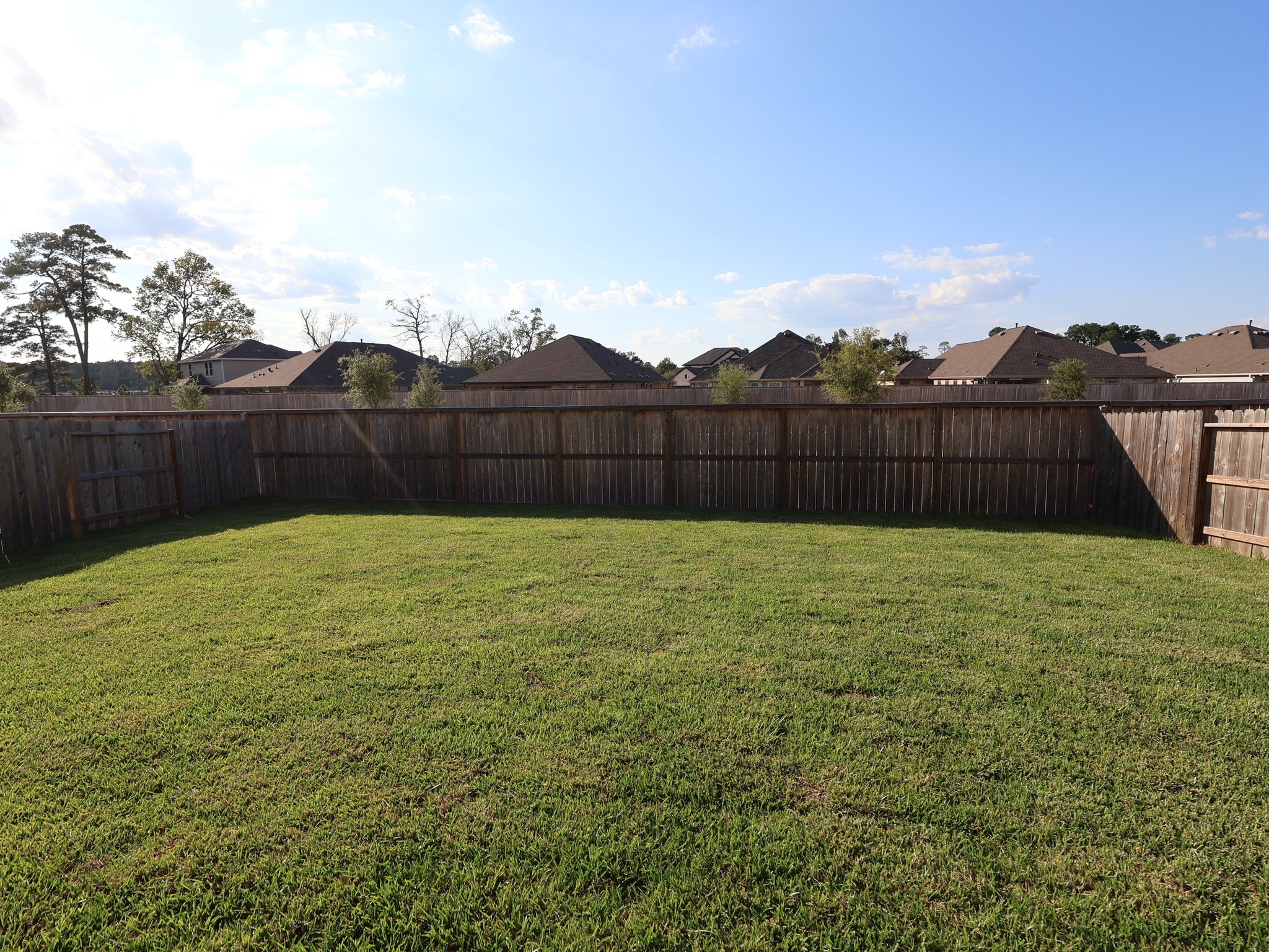 830 Falling Cave Drive Willis, TX 77378 - Photo 33 of 38