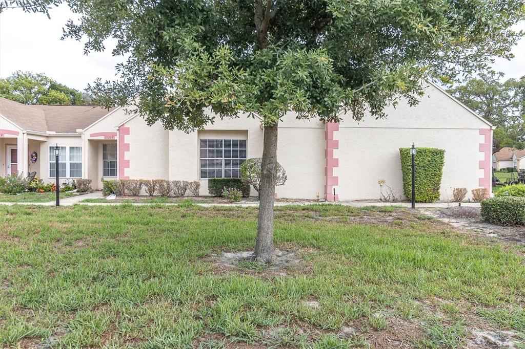 11337 Versailles Lane Port Richey, FL 34668 - Photo 38 of 60