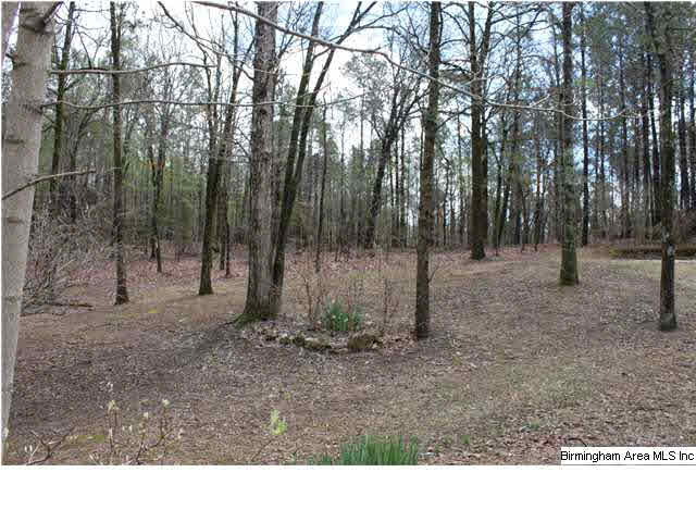 328 Chestnut Lane Alabaster, AL 35007 - Photo 24 of 24