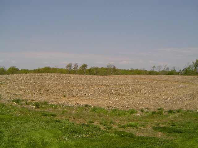 16758 Red Shale Hill Road Pekin, IL 61554 - Photo 3 of 5