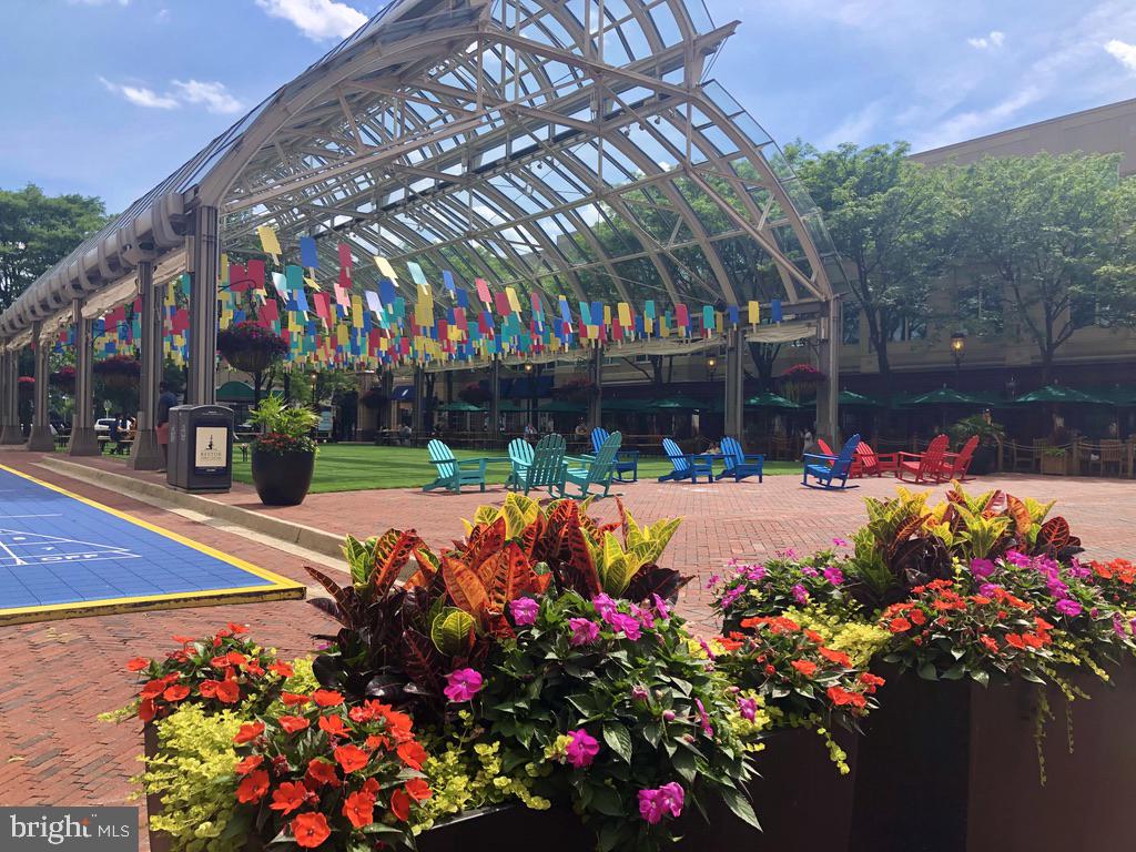 12004 Taliesin Place, Unit 32 Reston, VA 20190 - Photo 25 of 26 a view of group of flowers in front of house