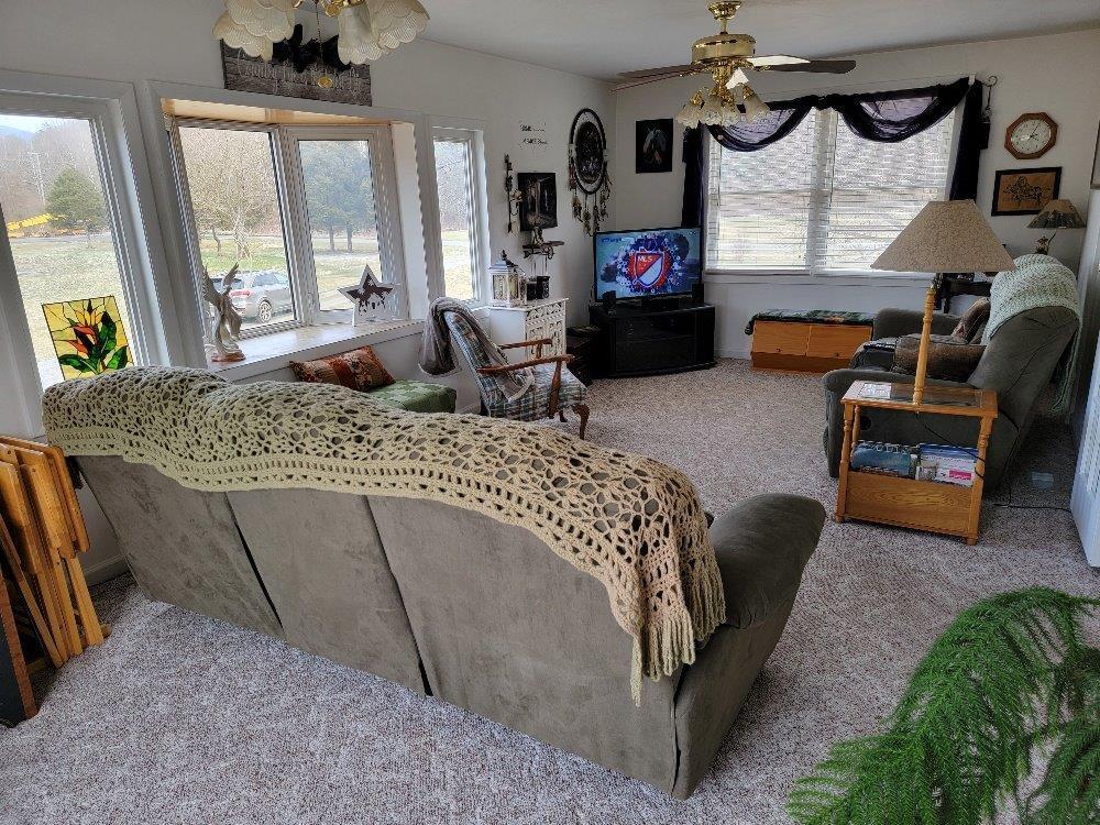3229 Plunkett Road Salem, VA 24153 - Photo 10 of 46 Family Room #3