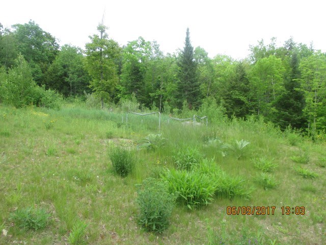 16 Juniper Meadow Road Danbury, NH 03230 - Photo 3 of 4