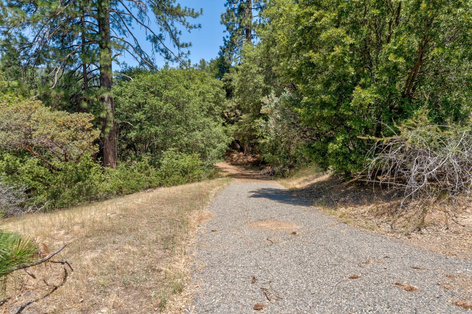 5667 Harris Cut Off Road Mariposa, CA 95338 - Photo 35 of 35 Gallery Image 35