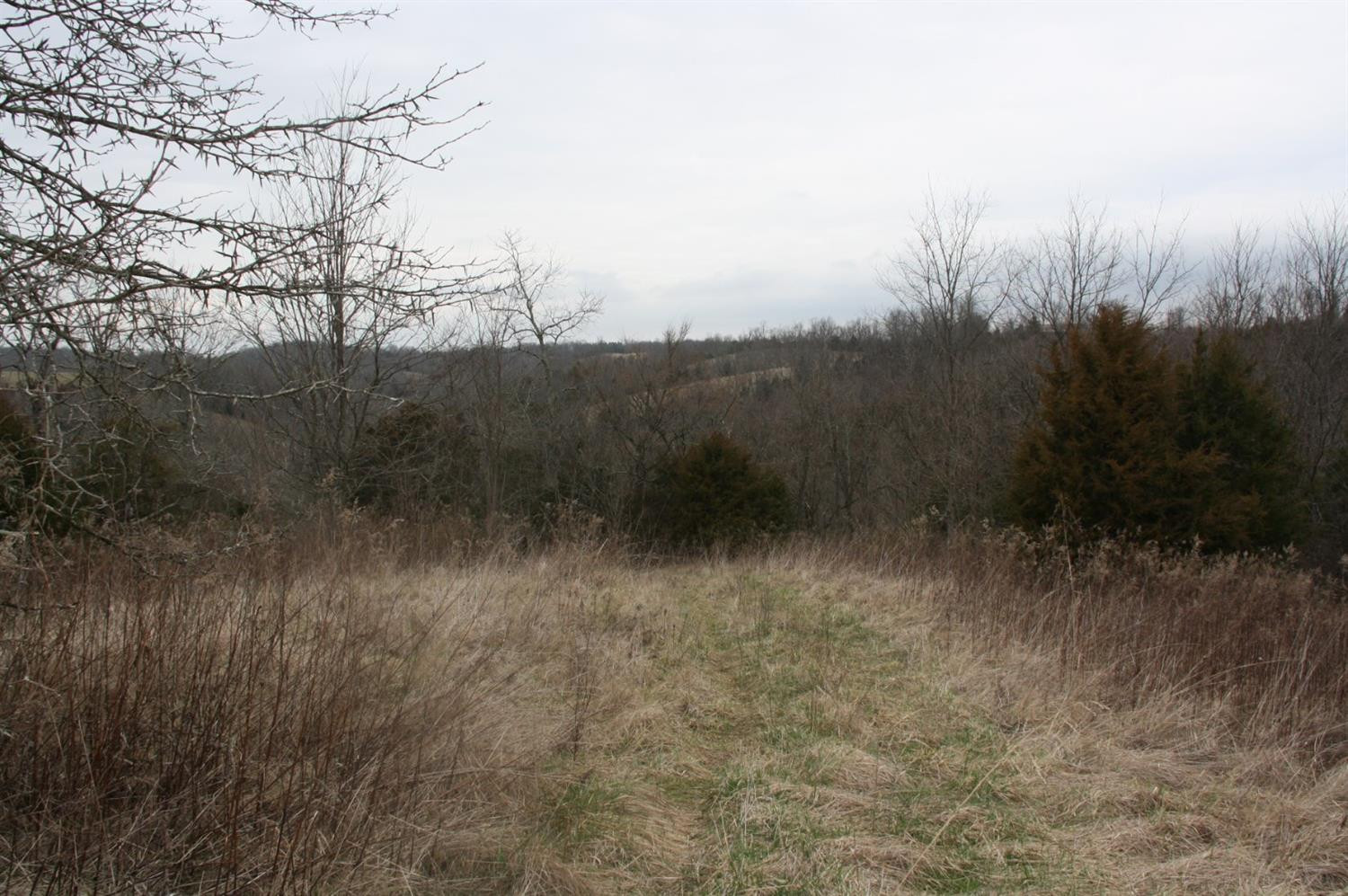 2229 Locust Grove Road Carlisle, KY 40311 - Photo 2 of 8 Photo 2