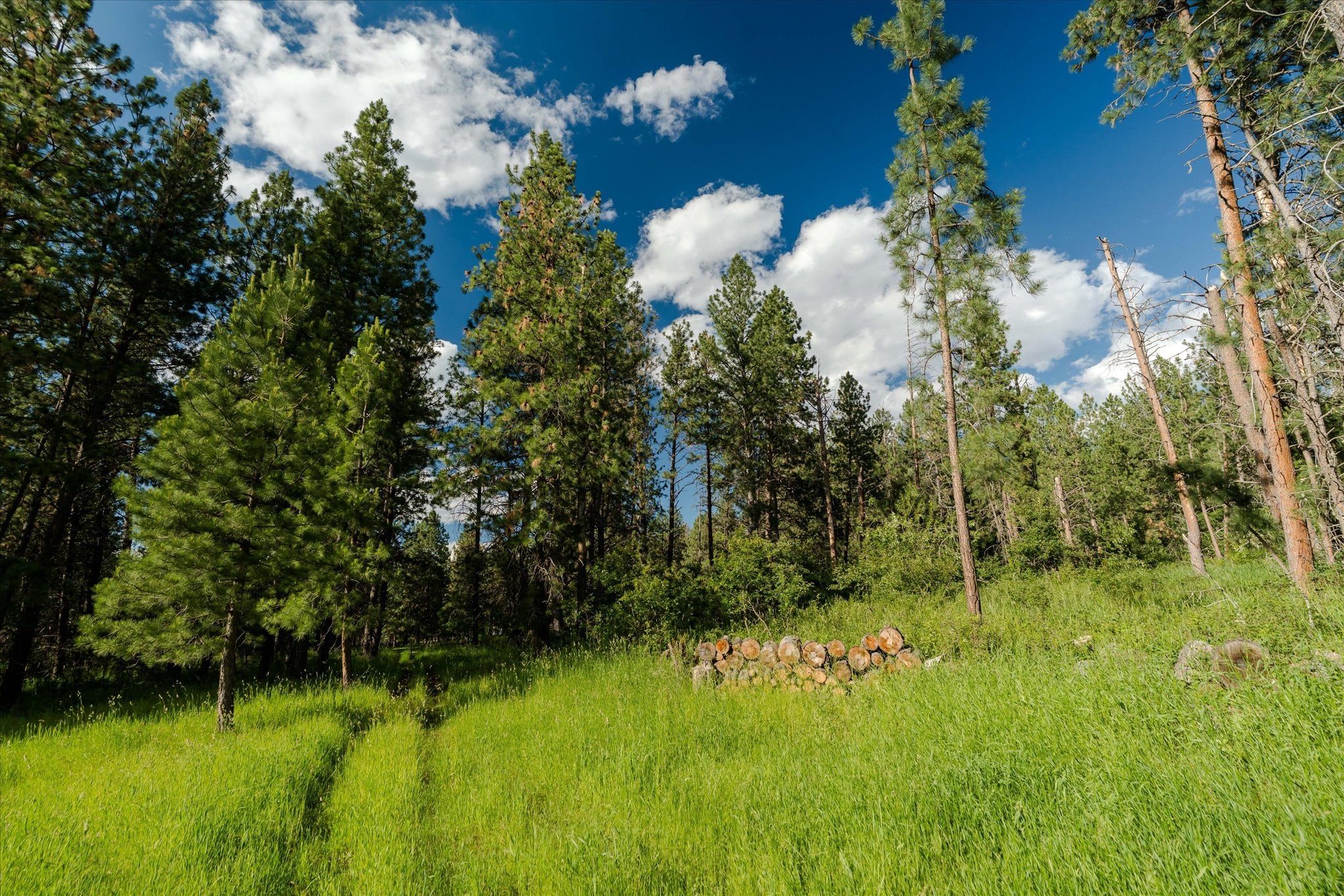 42439 Canal Road Ronan, MT 59864 - Photo 57 of 81 Gallery Image 57