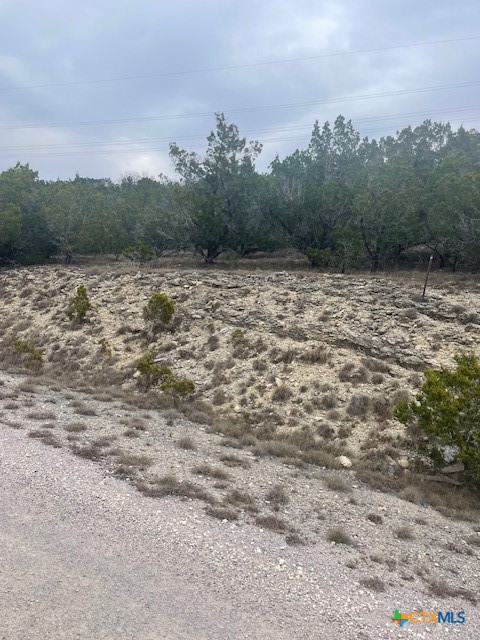 8609 Timber Trail Leander, TX 78645 - Photo 2 of 2