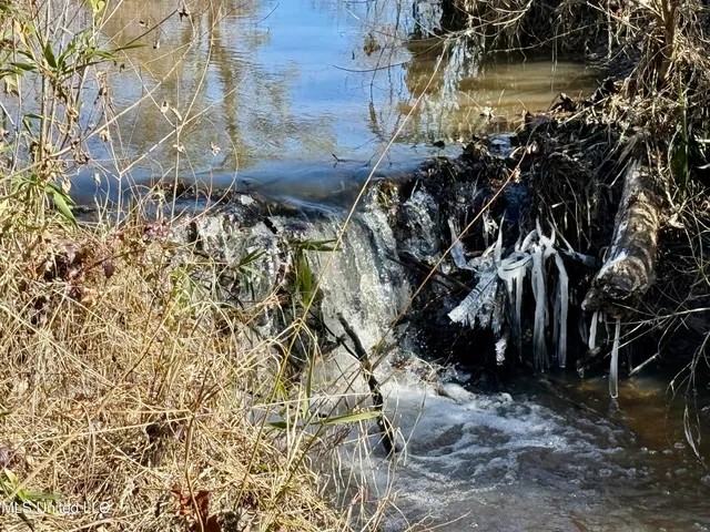 $156,000 | 276 Martin Lane, Raleigh, MS 39153