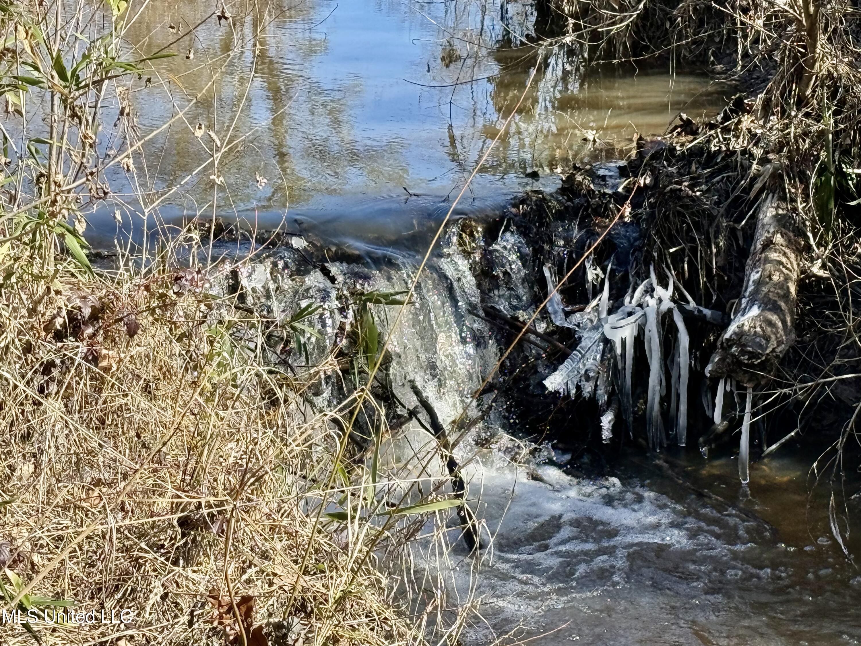 276 Martin Lane Raleigh, MS 39153 - Photo 17 of 34 IMG_1679