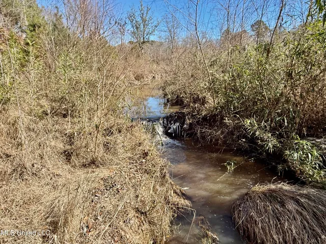 $156,000 | 276 Martin Lane, Raleigh, MS 39153