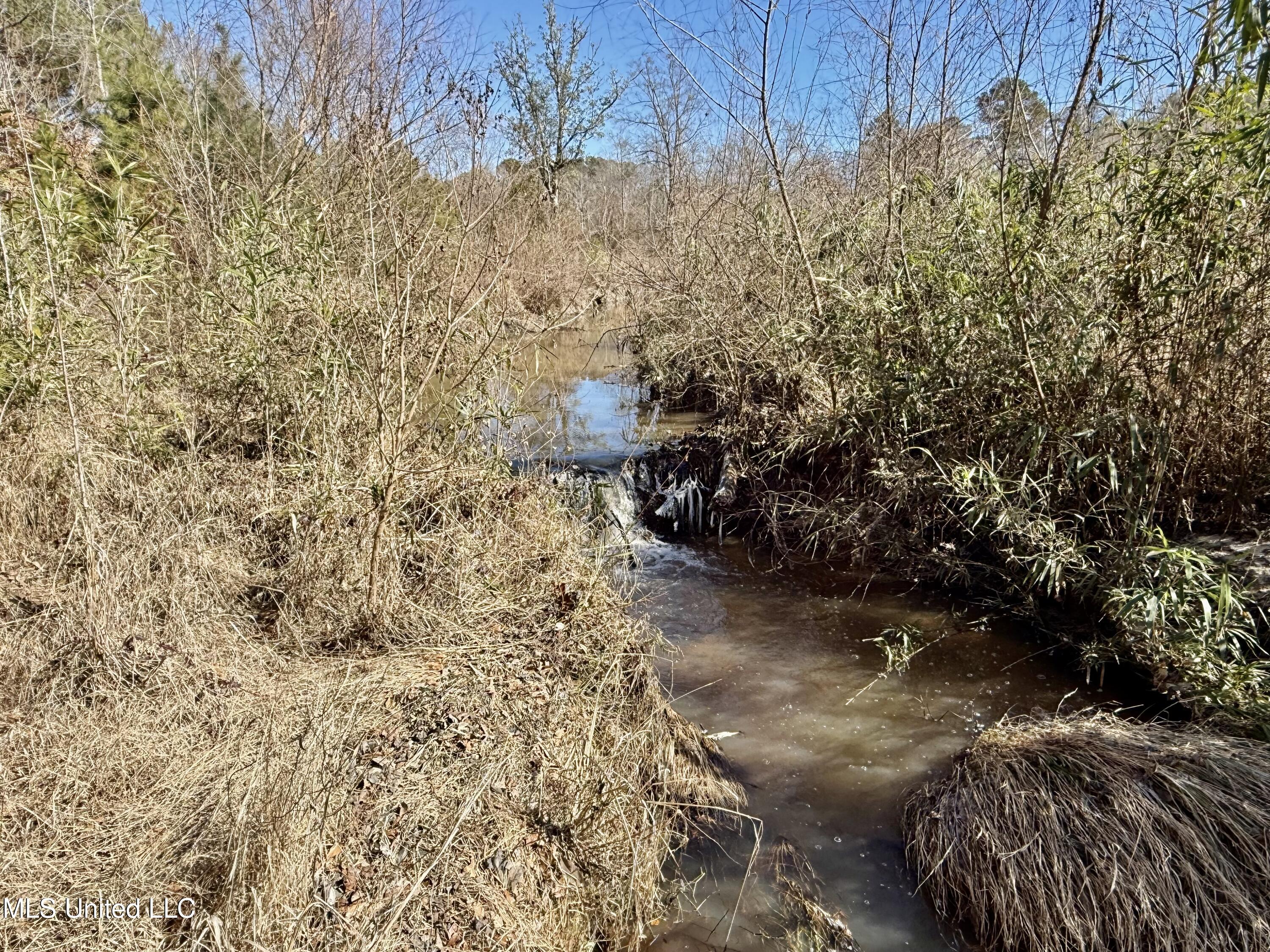 276 Martin Lane Raleigh, MS 39153 - Photo 18 of 34 IMG_1680