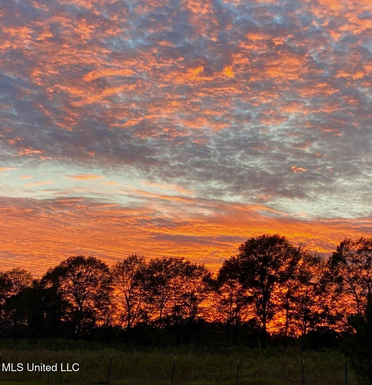 276 Martin Lane Raleigh, MS 39153 - Photo 19 of 34 IMG_2711