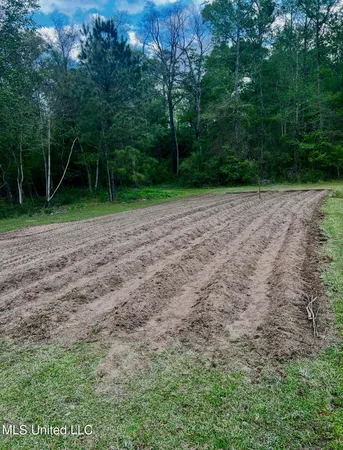 $140,000 | 276 Martin Lane, Raleigh, MS 39153