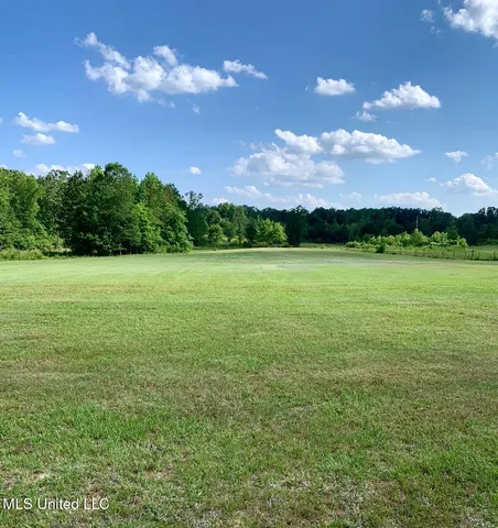 $156,000 | 276 Martin Lane, Raleigh, MS 39153