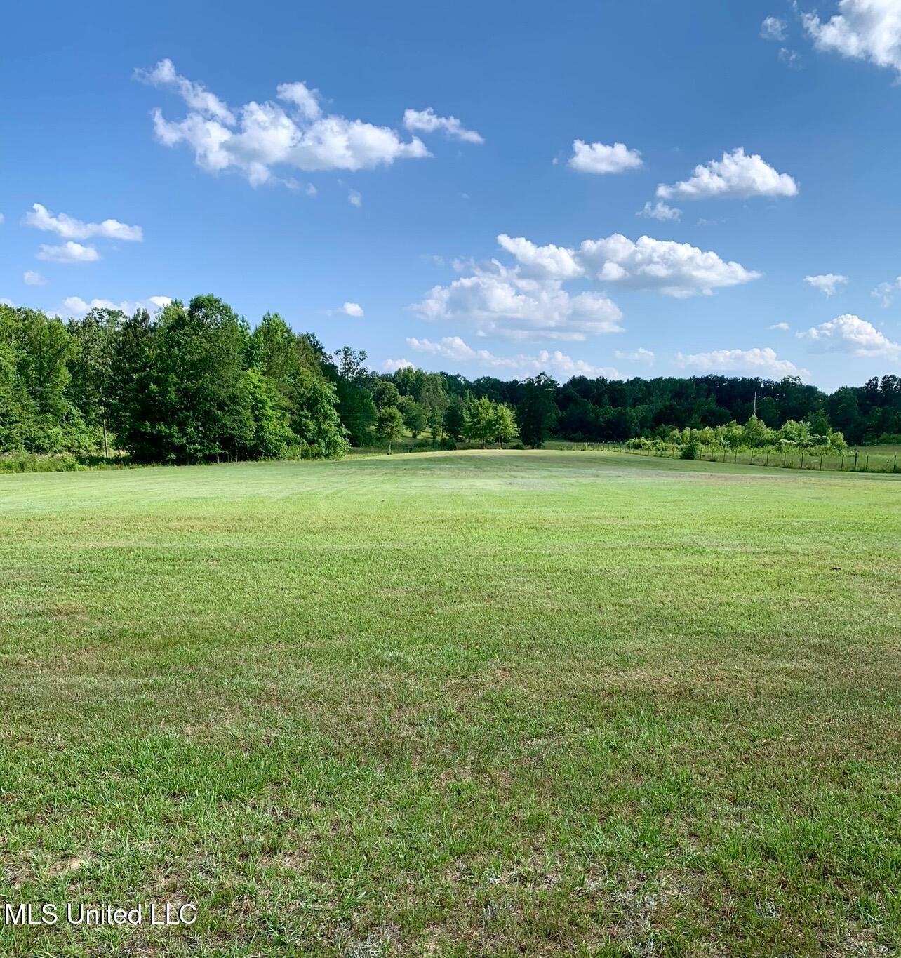 276 Martin Lane Raleigh, MS 39153 - Photo 21 of 34 IMG_2693