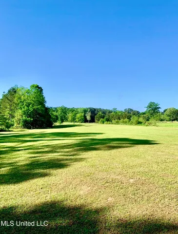 $156,000 | 276 Martin Lane, Raleigh, MS 39153