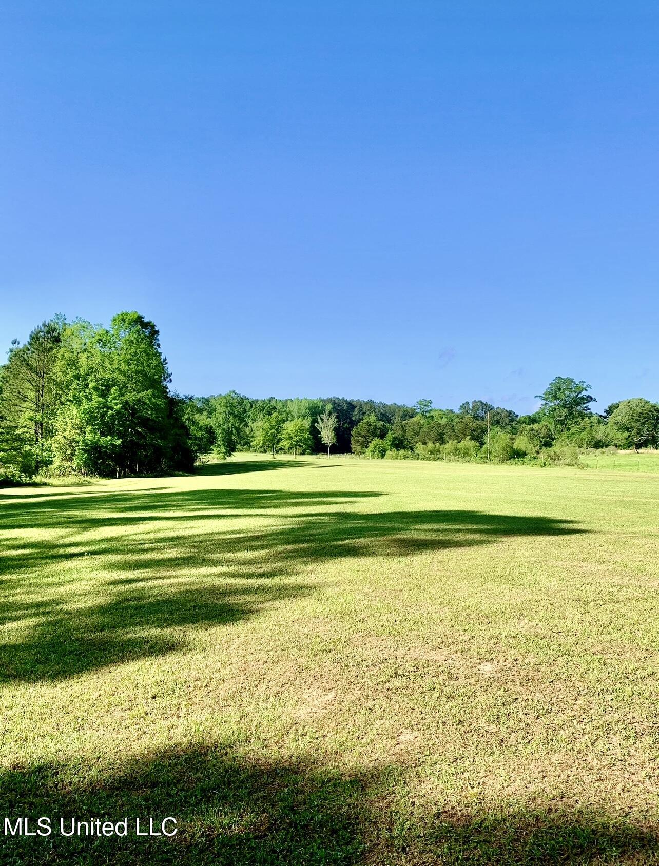 276 Martin Lane Raleigh, MS 39153 - Photo 22 of 34 IMG_2690