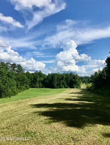 $156,000 | 276 Martin Lane, Raleigh, MS 39153