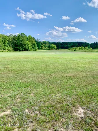 $140,000 | 276 Martin Lane, Raleigh, MS 39153