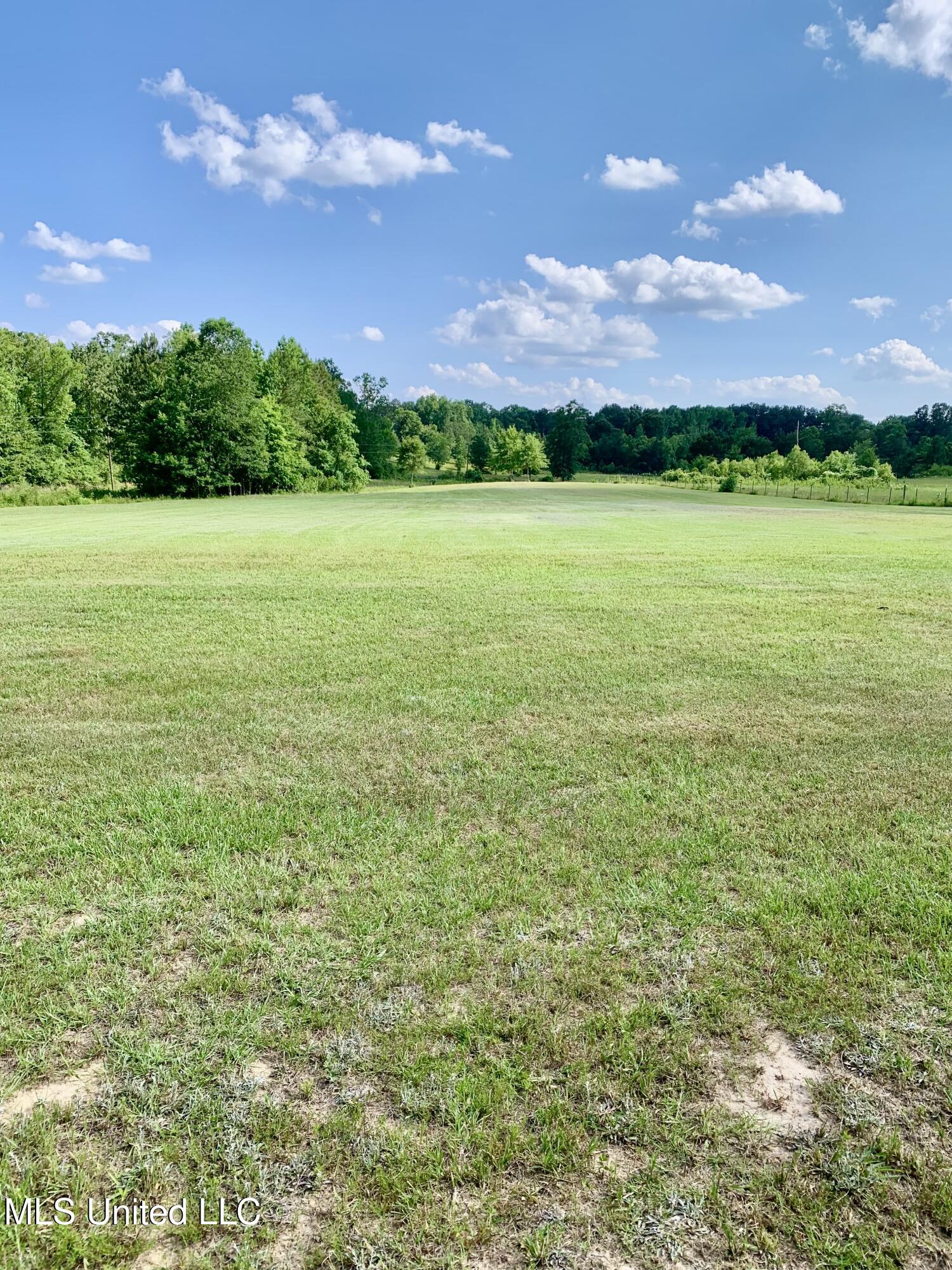 276 Martin Lane Raleigh, MS 39153 - Photo 24 of 34 IMG_2782