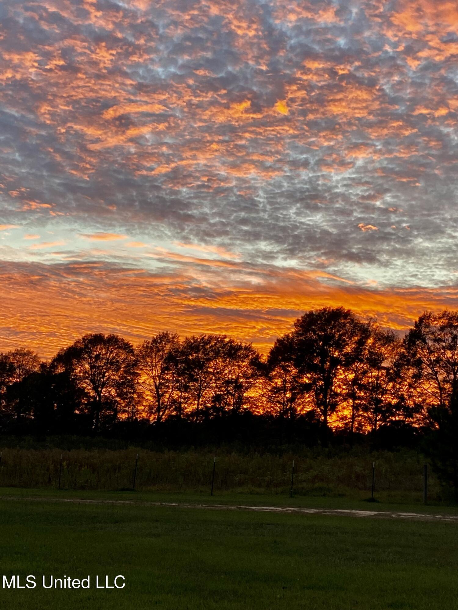 276 Martin Lane Raleigh, MS 39153 - Photo 25 of 34 IMG_5480