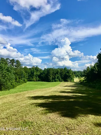 $140,000 | 276 Martin Lane, Raleigh, MS 39153