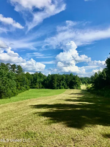 $156,000 | 276 Martin Lane, Raleigh, MS 39153