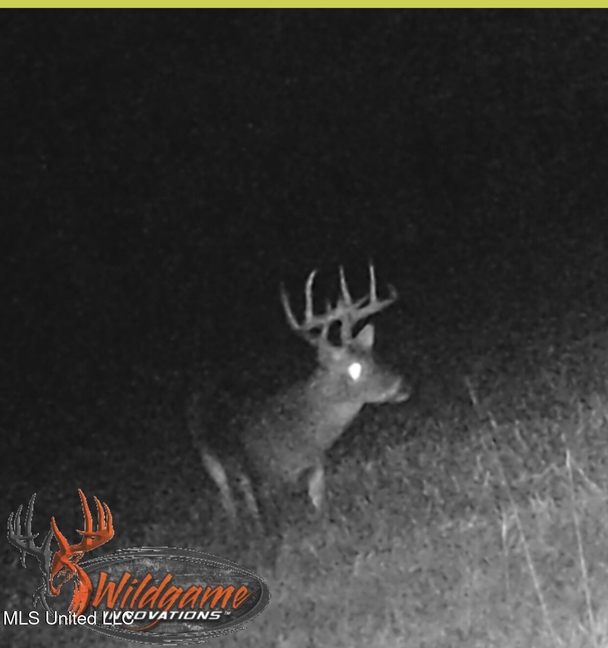 276 Martin Lane Raleigh, MS 39153 - Photo 28 of 34 IMG_7135