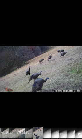 $156,000 | 276 Martin Lane, Raleigh, MS 39153