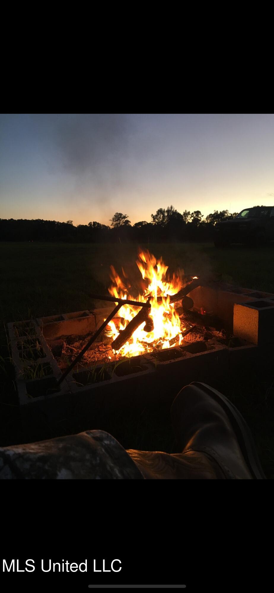 276 Martin Lane Raleigh, MS 39153 - Photo 31 of 34 IMG_2682