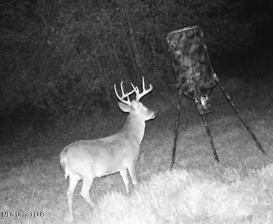 $140,000 | 276 Martin Lane, Raleigh, MS 39153