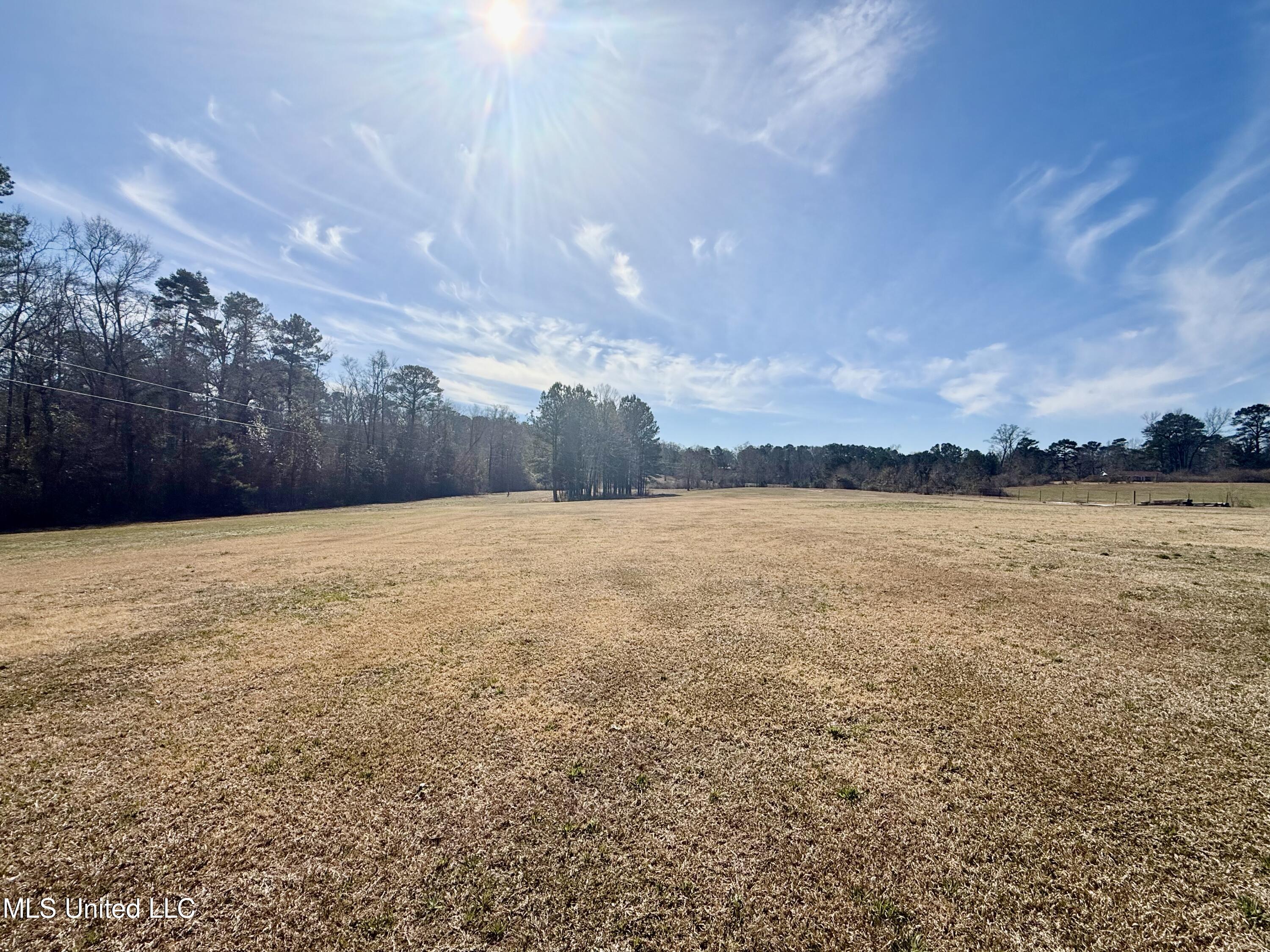 276 Martin Lane Raleigh, MS 39153 - Photo 5 of 34 IMG_1666