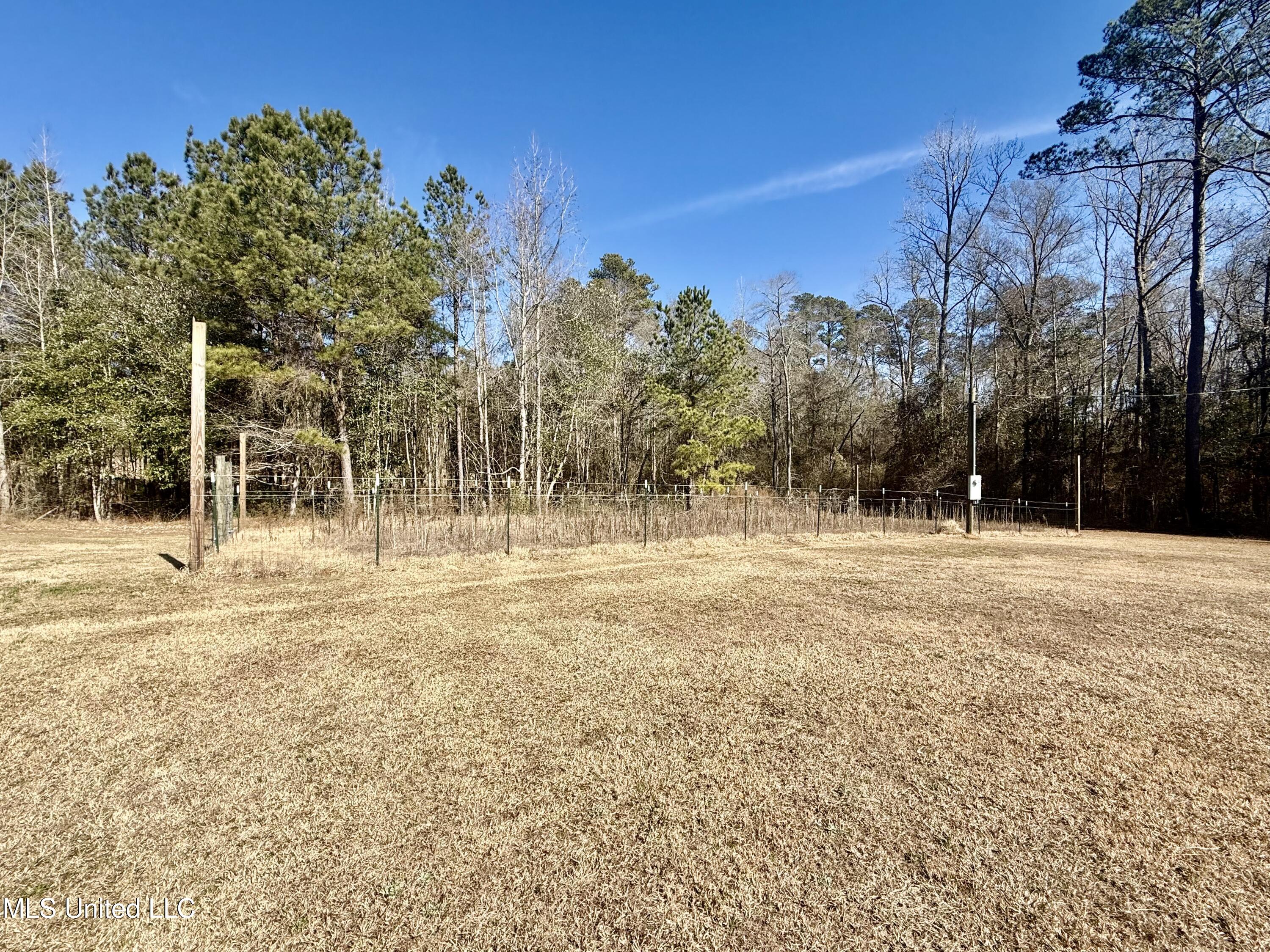 276 Martin Lane Raleigh, MS 39153 - Photo 6 of 34 IMG_1667