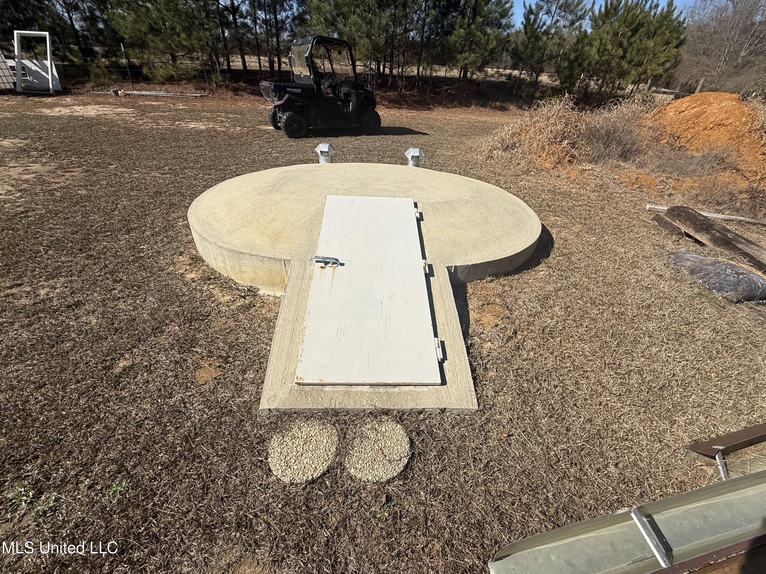 276 Martin Lane Raleigh, MS 39153 - Photo 7 of 34 IMG_1668