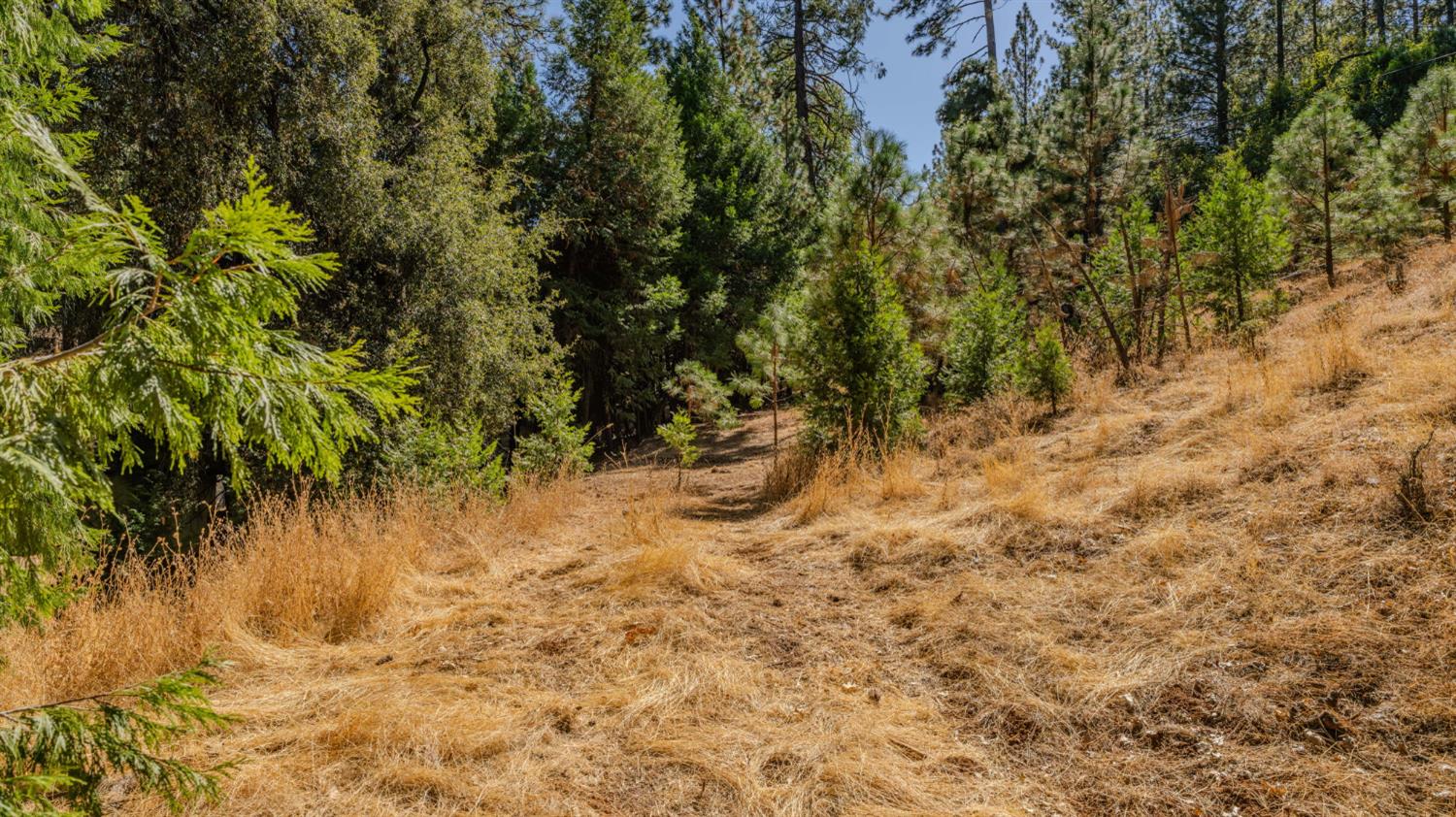 11456 Gold Strike Road Pine Grove, CA 95665 - Photo 6 of 24 Gallery Image 6