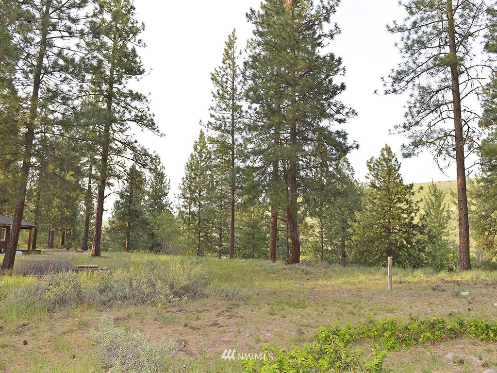 1111 State Rte 20, Unit 8 Winthrop, WA 98862 - Photo 23 of 25 Gallery Image 23