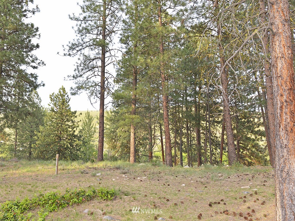 1111 State Rte 20, Unit 8 Winthrop, WA 98862 - Photo 24 of 25 Gallery Image 24