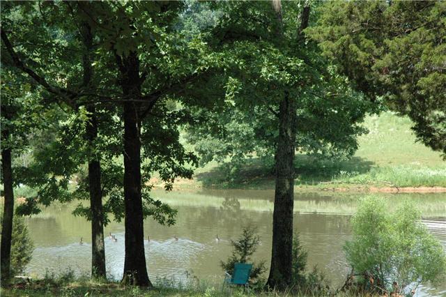1100 Deerwood Road Dickson, TN 37055 - Photo 3 of 18 POND Stock with Lots of Fish & The Ducks Stop by For a Swim