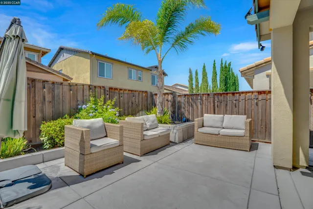 a view of a patio with couches and a potted plant on the wall