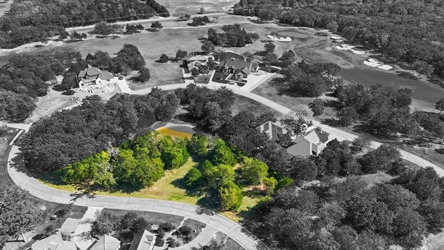 a view of a garden with plants